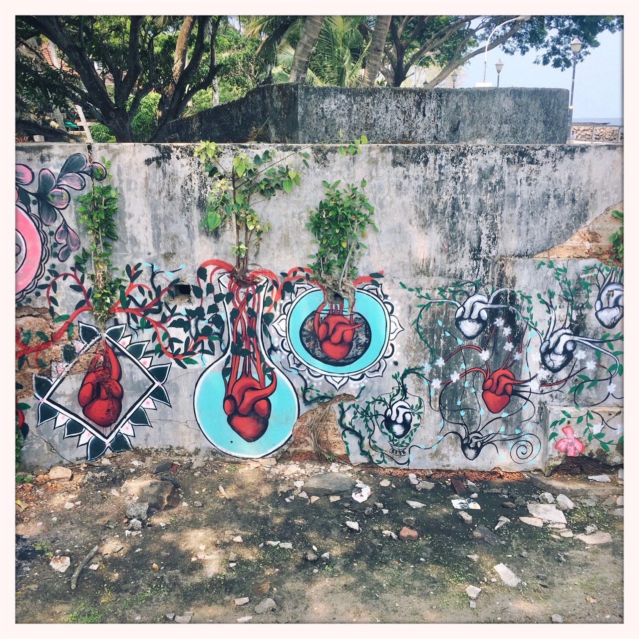 Out and about in Fort Kochi